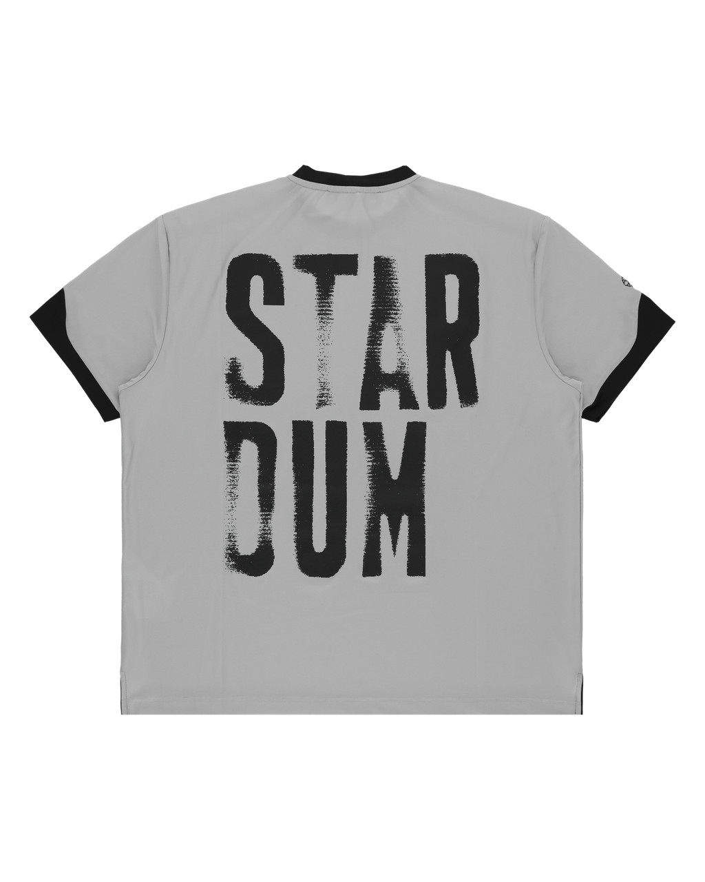 SHORT SLEEVE GRAPHIC SILVER T-SHIRT